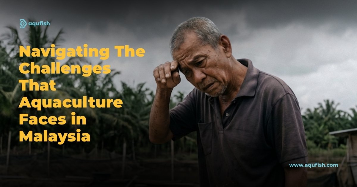 Navigating The Challenges That Aquaculture Faces in Malaysia